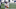 Green Bay Packers