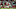 GLENDALE, AZ – SEPTEMBER 25: Quarterback Carson Palmer GLENDALE, AZ – SEPTEMBER 25: Quarterback Carson Palmer