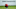 NEWTOWN SQUARE, PA – SEPTEMBER 10: Jon Rahm of Spain lines up his putt on the 18th hole during the weather delayed final round of the BMW Championship at Aronimink Golf Club on September 10, 2018 in Newtown Square, Pennsylvania. (Photo by Hunter Martin/Getty Images) NEWTOWN SQUARE, PA – SEPTEMBER 10: Jon Rahm of Spain lines up his putt on the 18th hole during the weather delayed final round of the BMW Championship at Aronimink Golf Club on September 10, 2018 in Newtown Square, Pennsylvania. (Photo by Hunter Martin/Getty Images)
