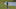 LAKEWOOD RANCH, FLORIDA – FEBRUARY 16: Maverick McNealy chips onto the green on the 14th hole during the third round of the LECOM Suncoast Classic at Lakewood National Golf Club on February 16, 2019 in Lakewood Ranch, Florida. (Photo by Matt Sullivan/Getty Images)