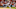 FanDuel NBA FanDuel NBA