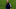 Felipão quer cinco reforços, mas o Cruzeiro não tem dinheiro.