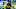 Jonathan Fabbro