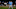 Rays de Tampa Bay Rays de Tampa Bay