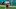 MIAMI GARDENS, FLORIDA – DECEMBER 13: Travis Kelce #87 of the Kansas City Chiefs in action against the Miami Dolphins at Hard Rock Stadium on December 13, 2020 in Miami Gardens, Florida. (Photo by Mark Brown/Getty Images) MIAMI GARDENS, FLORIDA – DECEMBER 13: Travis Kelce #87 of the Kansas City Chiefs in action against the Miami Dolphins at Hard Rock Stadium on December 13, 2020 in Miami Gardens, Florida. (Photo by Mark Brown/Getty Images)