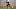 Buffalo Bills Buffalo Bills