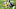Aaron Rodgers, Green Bay Packers Aaron Rodgers, Green Bay Packers