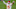 Kansas City Chiefs Kansas City Chiefs