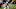Nov 19, 2016; Nashville, TN, USA; Mississippi Rebels receiver Van Jefferson (12) misses a pass during the second half against the Vanderbilt Commodores at Vanderbilt Stadium. Vanderbilt won 38-17. Mandatory Credit: Christopher Hanewinckel-USA TODAY Sports Nov 19, 2016; Nashville, TN, USA; Mississippi Rebels receiver Van Jefferson (12) misses a pass during the second half against the Vanderbilt Commodores at Vanderbilt Stadium. Vanderbilt won 38-17. Mandatory Credit: Christopher Hanewinckel-USA TODAY Sports