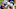 Buffalo Bills Buffalo Bills