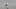 William Byron, Hendrick Motorsports, NASCAR William Byron, Hendrick Motorsports, NASCAR