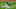 Philadelphia Phillies Philadelphia Phillies