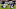Bruce Irvin Oakland Raiders