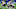 Chicago Bears v Detroit Lions