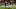 auburn fpotball auburn fpotball