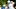 PGA Championship DraftKings Zach Johnson PGA Championship DraftKings Zach Johnson