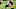 Green Bay Packers Green Bay Packers