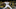 (Photo by Sean M. Haffey/Getty Images) – Los Angeles Dodgers (Photo by Sean M. Haffey/Getty Images) – Los Angeles Dodgers