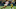 GREEN BAY, WI – OCTOBER 15: Marquez Valdes-Scantling #83 of the Green Bay Packers runs with the ball against K’Waun Williams #24 of the San Francisco 49ers in the fourth quarter at Lambeau Field on October 15, 2018 in Green Bay, Wisconsin. (Photo by Dylan Buell/Getty Images)