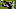 Chicago Bears, Allen Robinson Chicago Bears, Allen Robinson