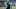 Rashaad Penny, Fantasy Football, Seattle Seahawks Rashaad Penny, Fantasy Football, Seattle Seahawks