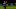 Schalke CM Weston McKennie Schalke CM Weston McKennie