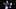 Toronto Maple Leafs