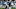 Syndication: Detroit Free Press Syndication: Detroit Free Press