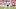 Heisman, Mac Jones, Kyle Trask, DeVonta Smith Heisman, Mac Jones, Kyle Trask, DeVonta Smith