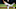 Tennessee’s Jake Fitzgibbons (42) pitching against Alabama A&M during the NCAA college baseball game in Knoxville, Tenn. on Tuesday, February 21, 2023.Ut Baseball Alabama A M