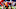 Sam Howell, 2022 NFL Mock Draft, 2022 NFL Draft Sam Howell, 2022 NFL Mock Draft, 2022 NFL Draft