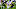 Zach Wilson, NFL Draft Zach Wilson, NFL Draft