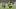 Seattle Sounders