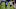 2022 NFL Draft sleeper Chris Rodriguez 2022 NFL Draft sleeper Chris Rodriguez