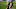 Everton, Edinson Cavani