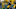 Green Bay Packers Green Bay Packers