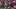 Iowa Hawkeyes, Iowa Hawkeyes,