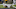 Jaylan Ford, Texas football Jaylan Ford, Texas football