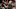 Minnesota Timberwolves Timberwolves News Timberwolves schedule Timberwolves roster Coach Chris Finch Minnesota Timberwolves Timberwolves News Timberwolves schedule Timberwolves roster Coach Chris Finch