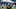 Detroit Lions - Matt Patricia Detroit Lions - Matt Patricia