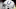 Indianapolis Colts Indianapolis Colts