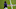 BALTIMORE, MARYLAND – NOVEMBER 22: Marquise Brown #15 of the Baltimore Ravens looks on before the game against the Tennessee Titans at M&T Bank Stadium on November 22, 2020, in Baltimore, Maryland. (Photo by Patrick Smith/Getty Images)