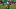 Green Bay Packers Green Bay Packers
