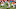 KC Chiefs: What we learned about the AFC West after Week 17 KC Chiefs: What we learned about the AFC West after Week 17
