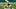 Green Bay Packers Green Bay Packers