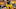 Drew Lock