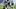 DeMarco Murray Titans