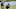PGA: PGA Championship-First Round PGA: PGA Championship-First Round