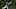 (John J. Kim/Chicago Tribune/Tribune News Service via Getty Images) (John J. Kim/Chicago Tribune/Tribune News Service via Getty Images)