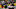 Oct 23, 2016; Pittsburgh, PA, USA; Pittsburgh Steelers running back Oct 23, 2016; Pittsburgh, PA, USA; Pittsburgh Steelers running back